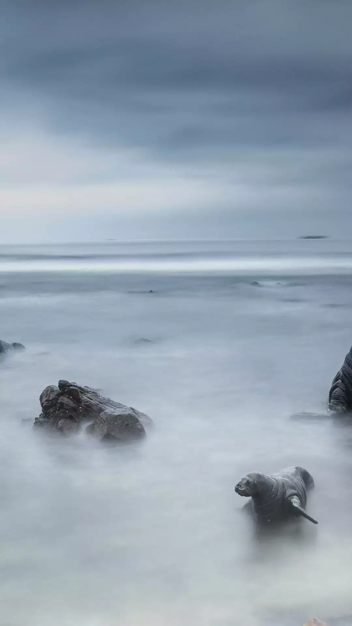 有哪些梦幻唯美,意境深远开阔,颜色淡雅,以景为主的的壁纸或图片?