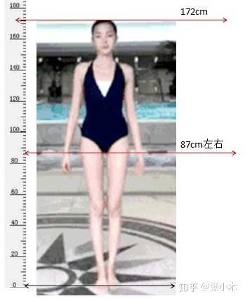 身高一米七腿长103是可能的么 正常人腿长与身高的比例如何 知乎 身高一米七腿长103是可能的么 正常人腿长与身高的比例如何 知乎