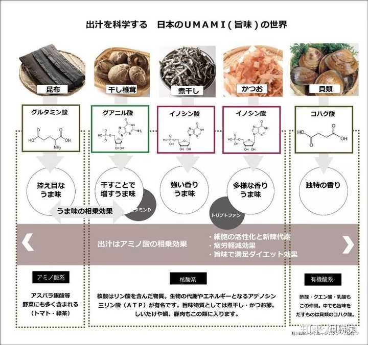 昆布和海带是一个东西吗 知乎 昆布和海带是一个东西吗 知乎