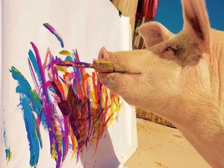 猪界毕加索的画美感在哪里?为什么可以被高价售出?