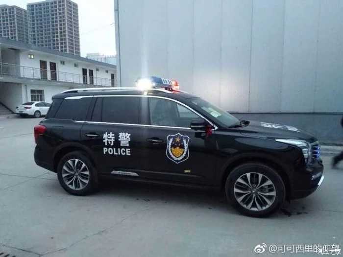 国内有的,哪些车型适合当警车?