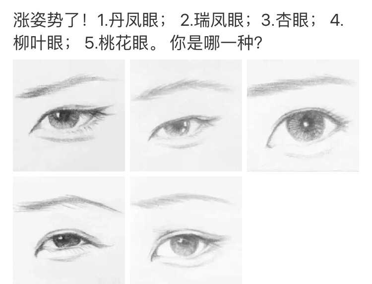 眼睛的类型有几种图片介绍 v2-c752f6f9898d94f33581abad35198c50_r.jpg