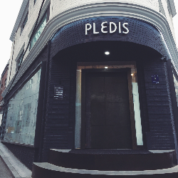 pledis ent.