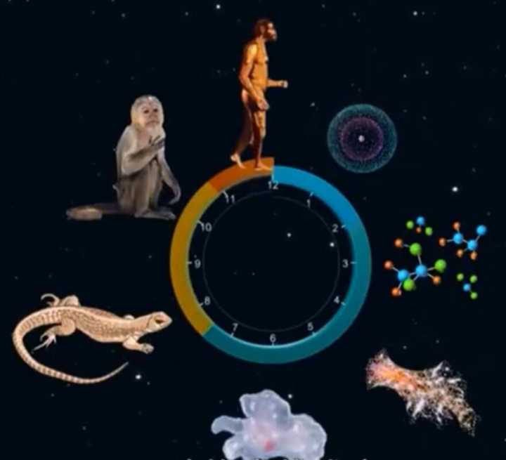 不从生物学角度解释,人是什么?