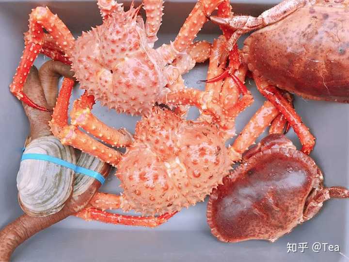 帝王蟹这种东西为什么只吃大腿 知乎 帝王蟹这种东西为什么只吃大腿 知乎