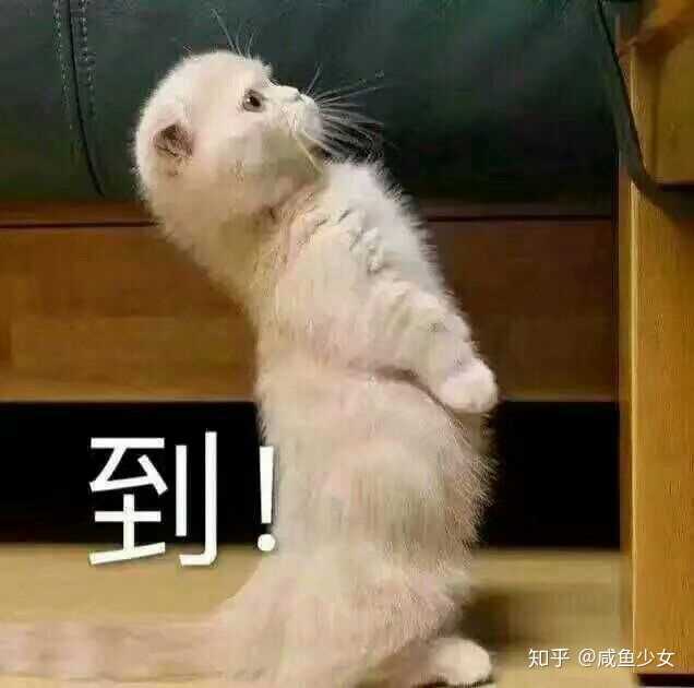 。你有没有哪些好玩的系列表情包？