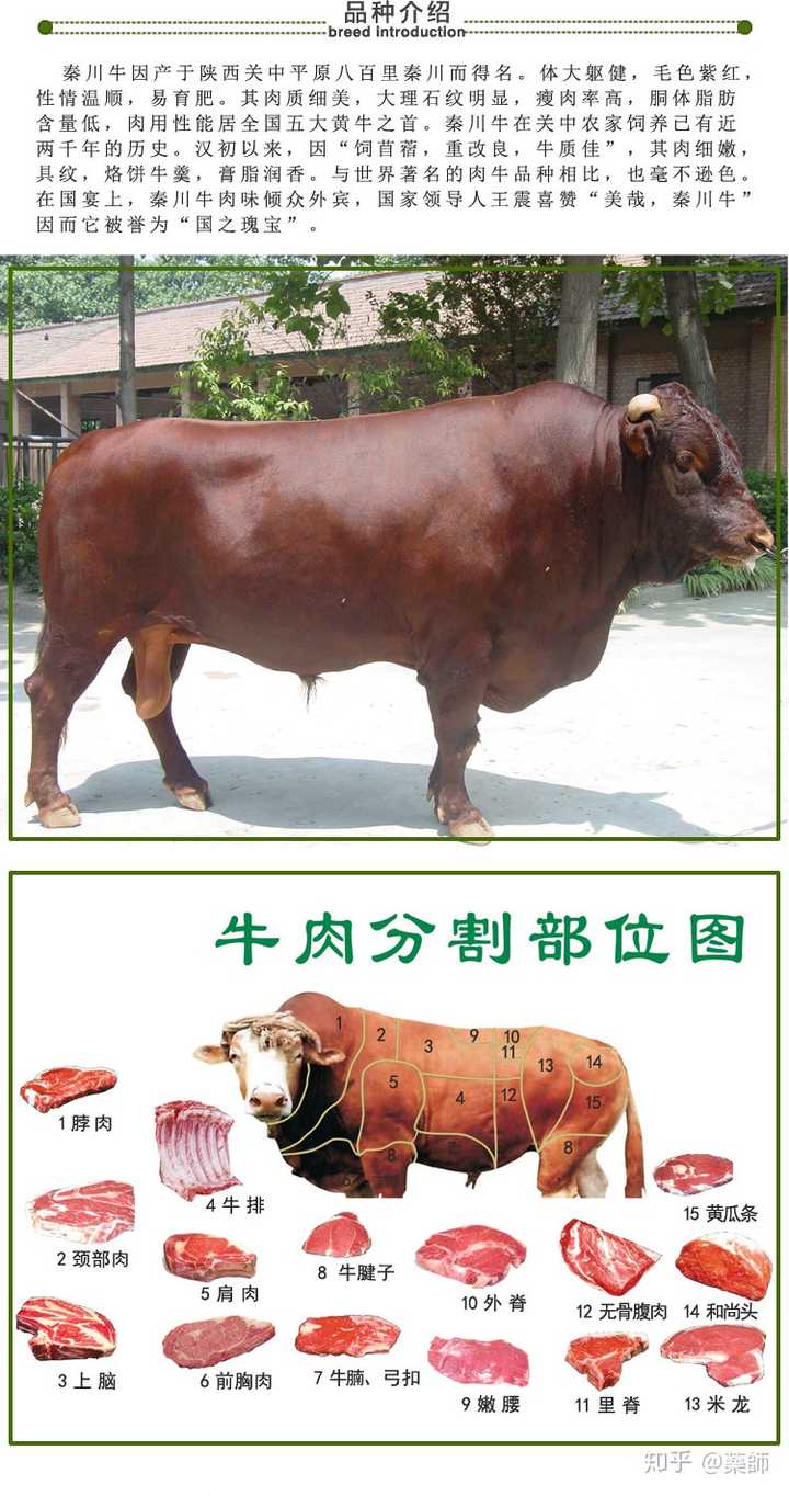 为什么市面上大多牛排馆突出宣传自己的牛肉是澳洲牛肉 国内的牛肉难道就不如澳牛了吗 知乎