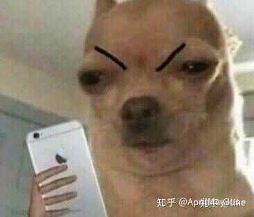 五个人的群名称大全 5个人的经典群名 五个人的群取什么名字