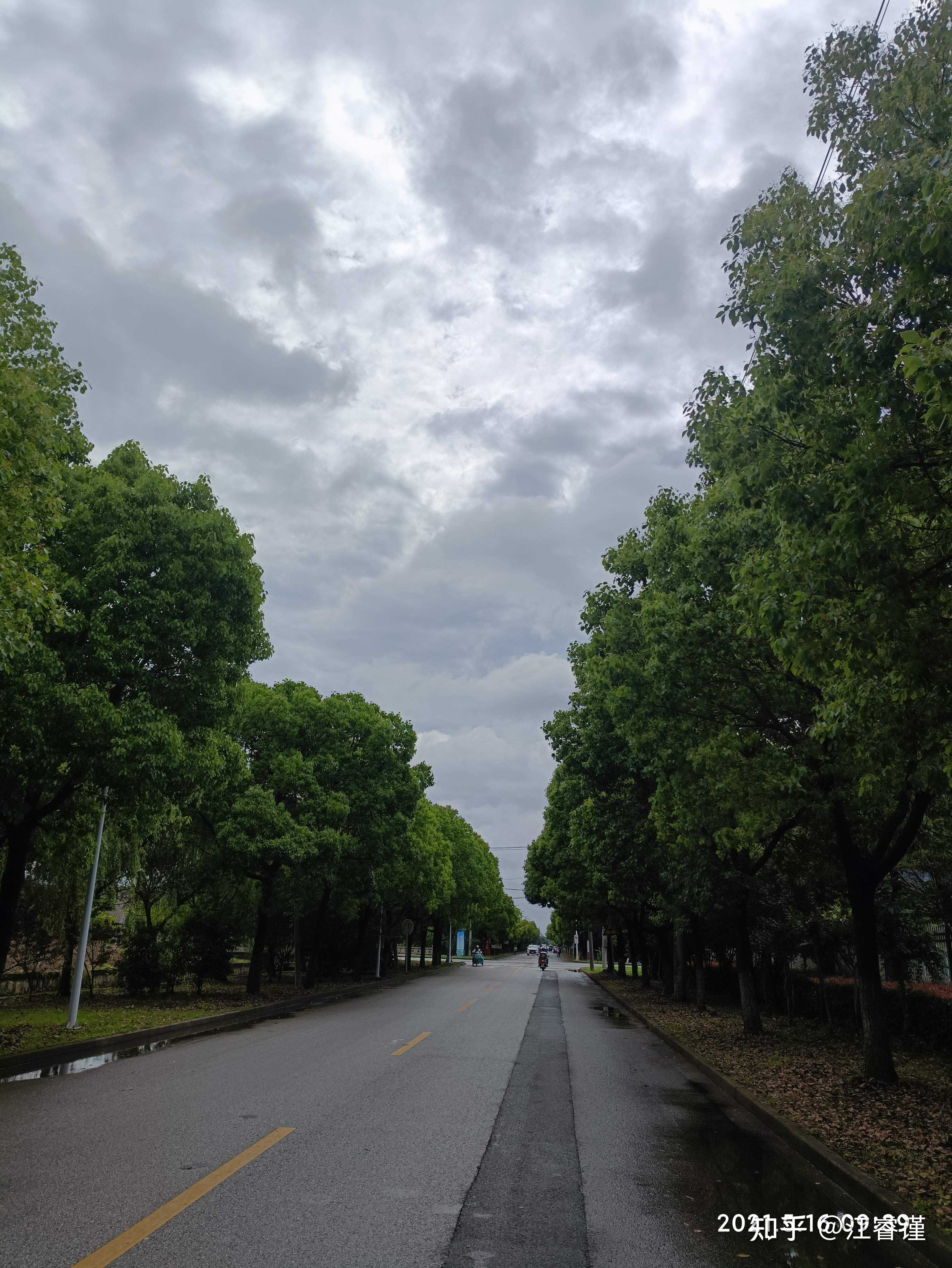 今天是陰雨天氣