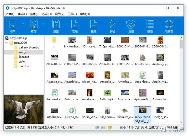 Picasa3 代替