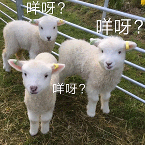 如何评价元歌新皮肤云间偶戏 知乎 如何评价元歌新皮肤云间偶戏 知乎