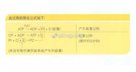 有氧运动和无氧运动有哪些区别 知乎 有氧运动和无氧运动有哪些区别 知乎