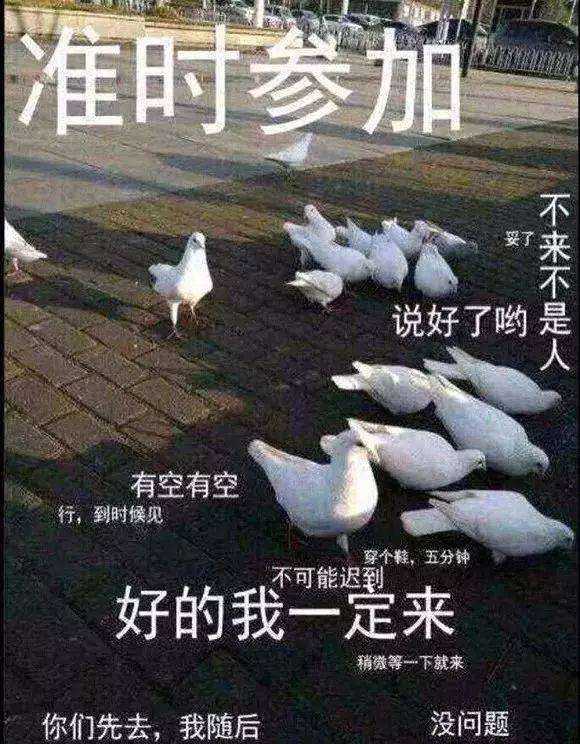 有没有那种既沙雕又搞怪的朋友圈文案?
