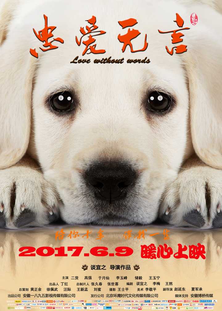 导盲犬小q 电影 知乎