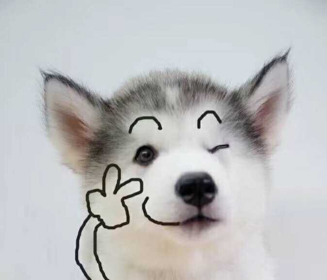 有哪些富于情欲气息的音乐 知乎