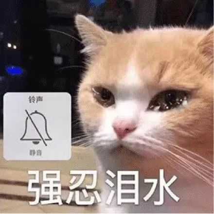噢妈惹法克谢特这该死的爱情.