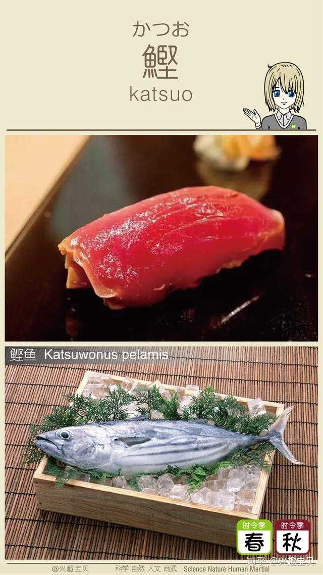 日本寿司一般会用到什么鱼 刺身的话除了三文鱼还有什么比较出名的鱼种供选用 知乎 日本寿司一般会用到什么鱼 刺身的话除了三文鱼还有什么比较出名的鱼种供选用 知乎