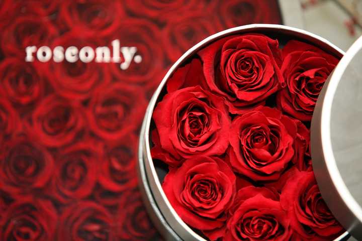 【roseonly玫瑰花】