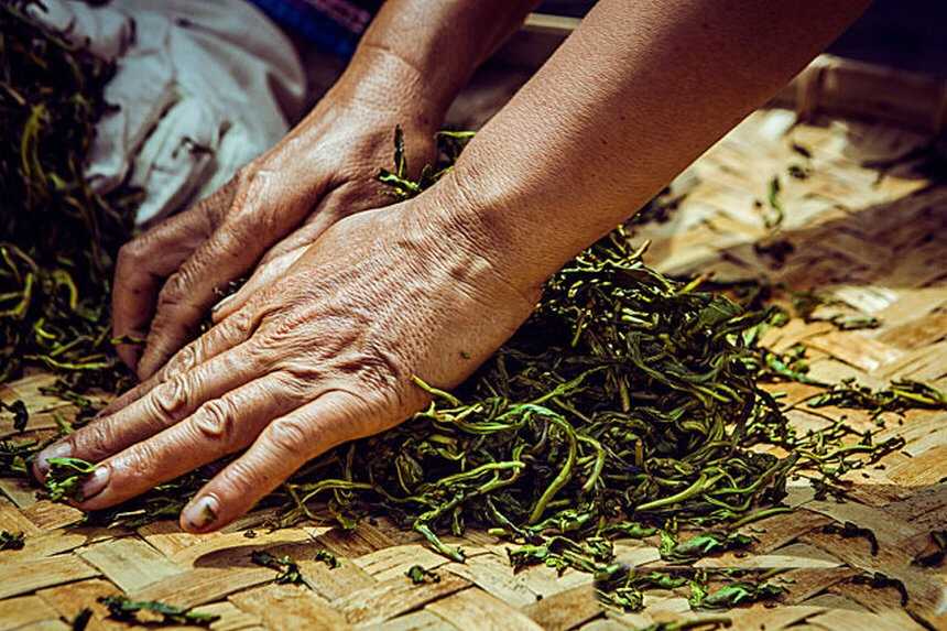 分享红茶正山小种工艺图.采摘晒青揉捻烘干挑拣成品