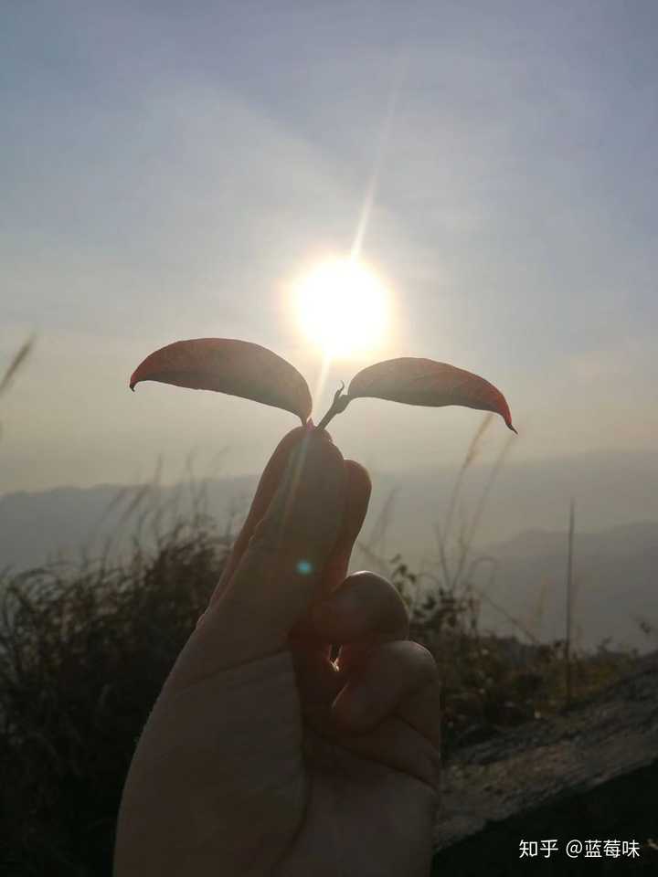 谁有 趁阳光正好 趁微风不燥的图片呢 求图谢谢谢谢?