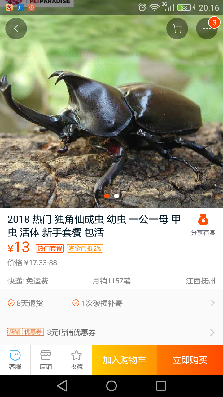 5月以后还有独角仙幼虫吗 新手饲养应该准备哪些 知乎 5月以后还有独角仙幼虫吗 新手饲养应该准备哪些 知乎