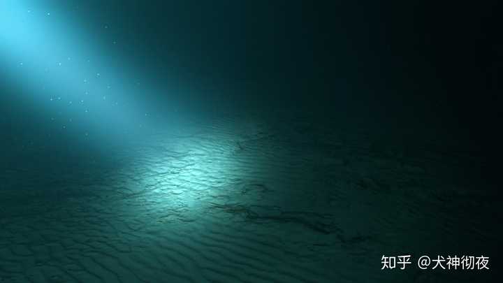 有哪些深海恐惧症看了会害怕的图片 知乎
