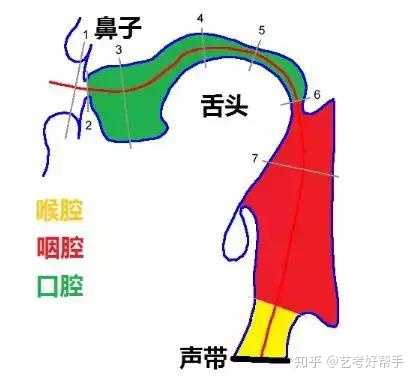 怎么练成播音腔(胸腔共鸣)? - 知乎