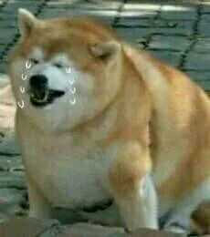 高一高二基础太差高三复习不过来?