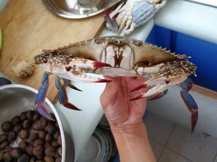 帝王蟹这种东西为什么只吃大腿 知乎 帝王蟹这种东西为什么只吃大腿 知乎