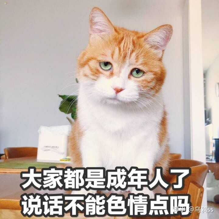 有哪些可以哄女朋友的表情包?