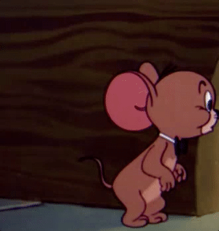 猫和老鼠gif 知乎