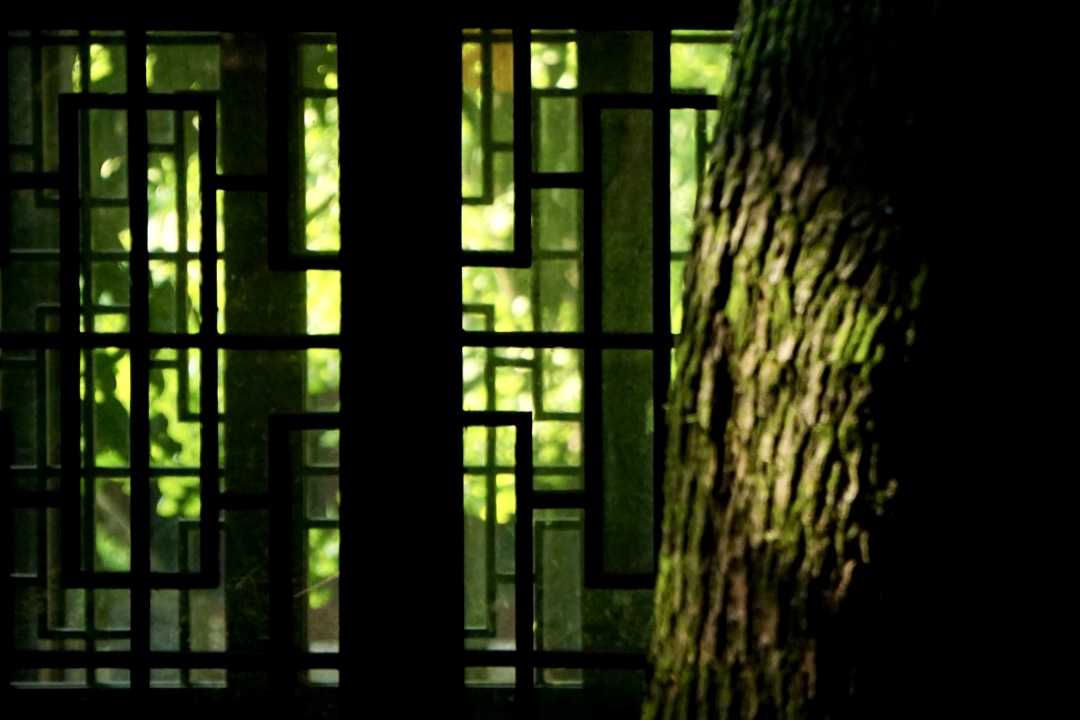 二月廿三日,梦与故人书窗对坐,知其明朝… - 知乎