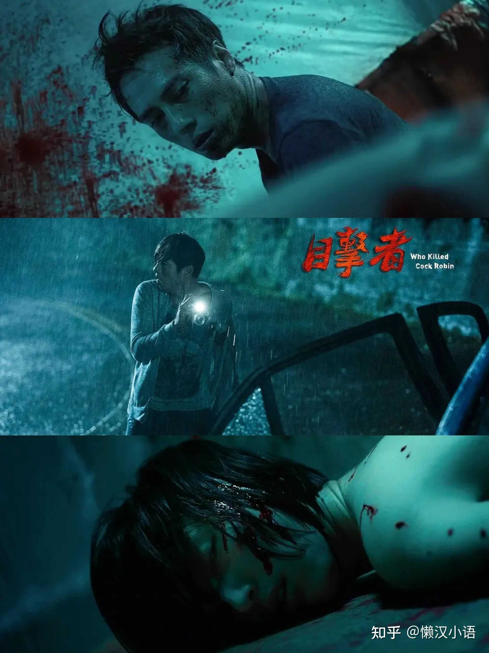 《目击者之追凶》的介绍和目击者之追凶 电影剧情简介