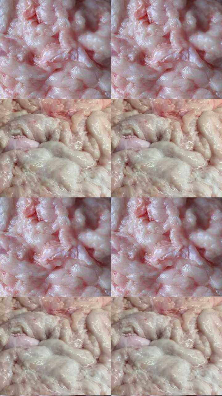 来更新了 大早上对着一堆肥肉调图,晕乎乎… 做成了手机屏幕大小的