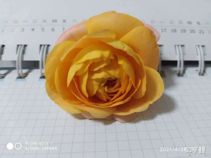 最速精神病院费用