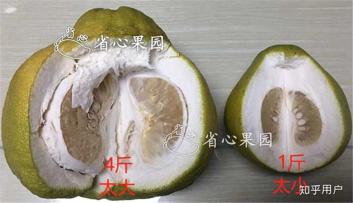 如何挑好的柚子？ - 知乎