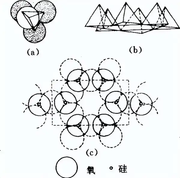 我特别好奇硅基生命的生命形态，您觉得硅基生命到底是怎样生存的？