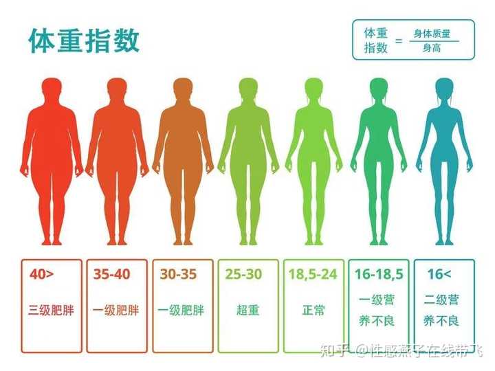 年人 bmi 评定标准表」，得出自己的体形是消瘦、正常、肥胖、还是超重。