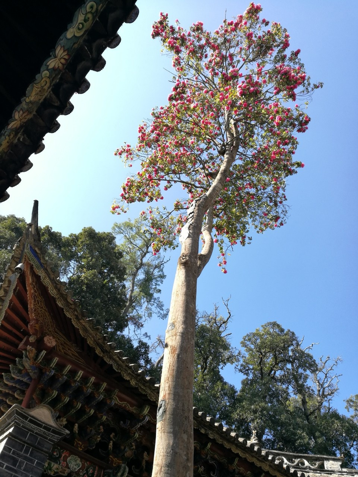 有没有什么推荐的墨香铜臭作品的同人?