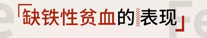 人体缺铁时吃以下哪种食物效果更好