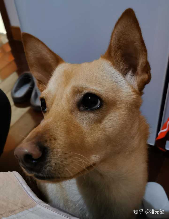 这张帅气但略显憨厚的脸,给他的一切行为带来了迷之憨憨意味.