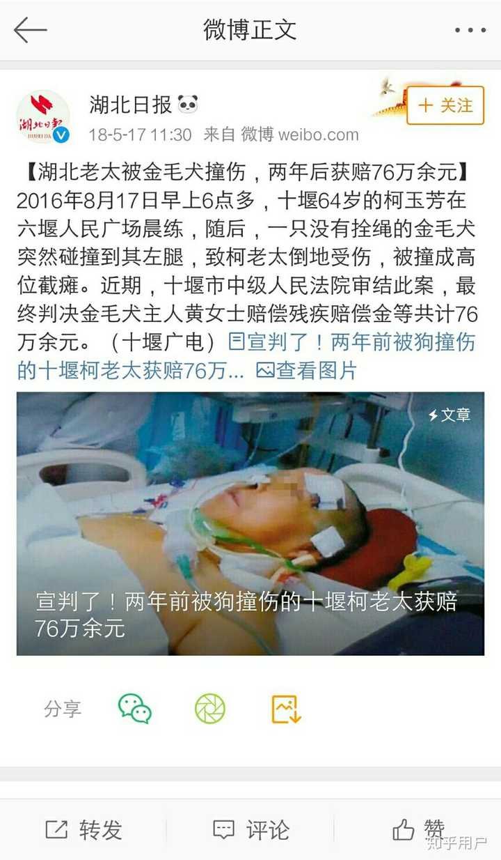 如何评价文章 中国大型犬末日 对不起 爸爸妈妈保护不了你 知乎 如何评价文章 中国大型犬末日 对不起 爸爸妈妈保护不了你 知乎