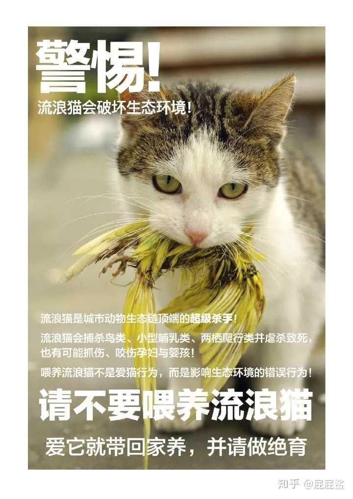 有哪些看上去人畜无害的动物其实战斗力很强悍?