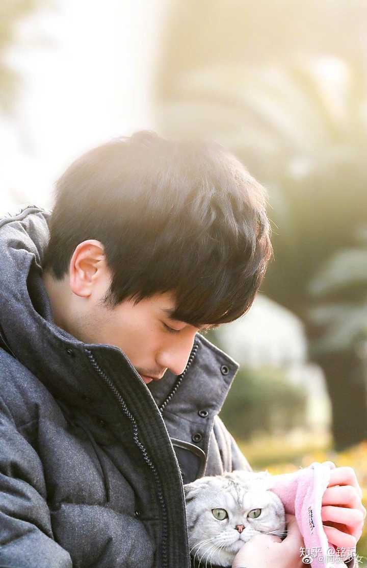 11 月 27 日艺人高以翔在录制节目过程中晕倒,抢救