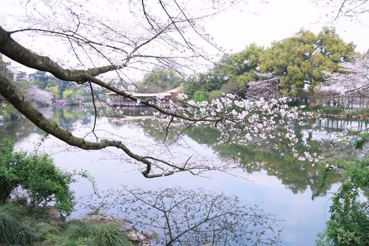 四月份有哪里值得赏景的地方