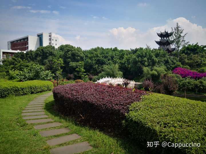 西南医科大学校园风光图片