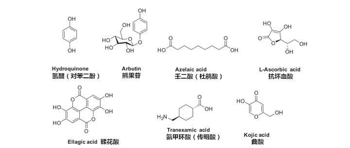 图3 各种抑制酪氨酸酶活性美白剂的化学结构对苯二酚(hq)除了可以诱变哺乳