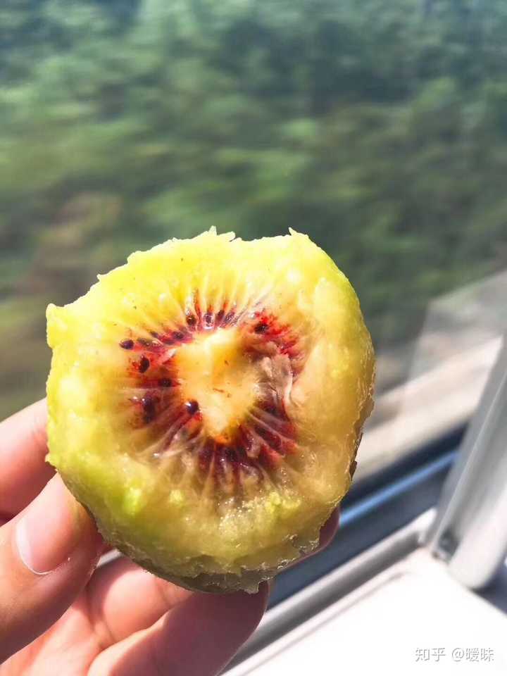 一年12个月对应的应季时令水果蔬菜有哪些 知乎 一年12个月对应的应季时令水果蔬菜有哪些 知乎