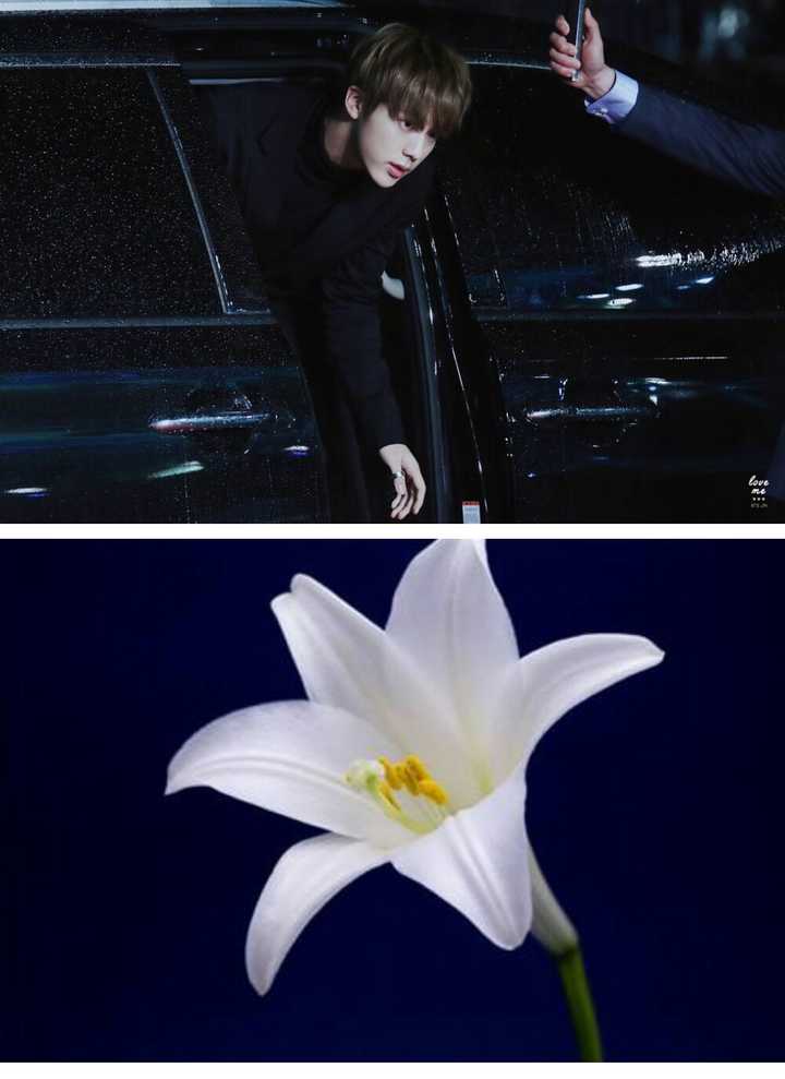 各位会用什么花来形容防弹少年团成员 知乎 各位会用什么花来形容防弹少年团成员 知乎