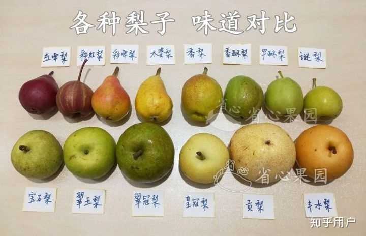 哪种梨最好吃? - 知乎